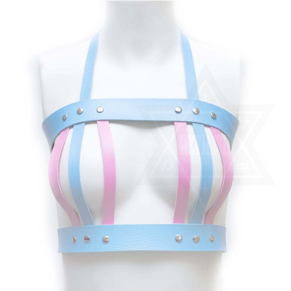You own my heart harness