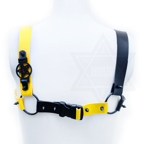 Dendrobates leucomelas harness