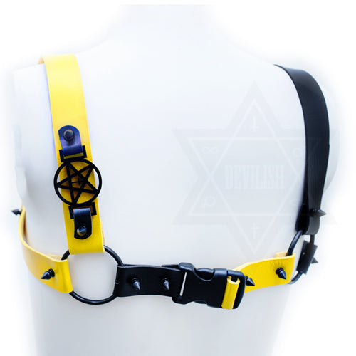 Dendrobates leucomelas harness