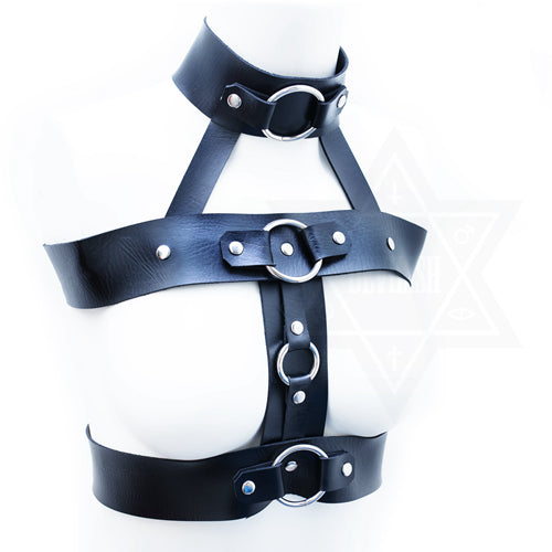 Evilness harness