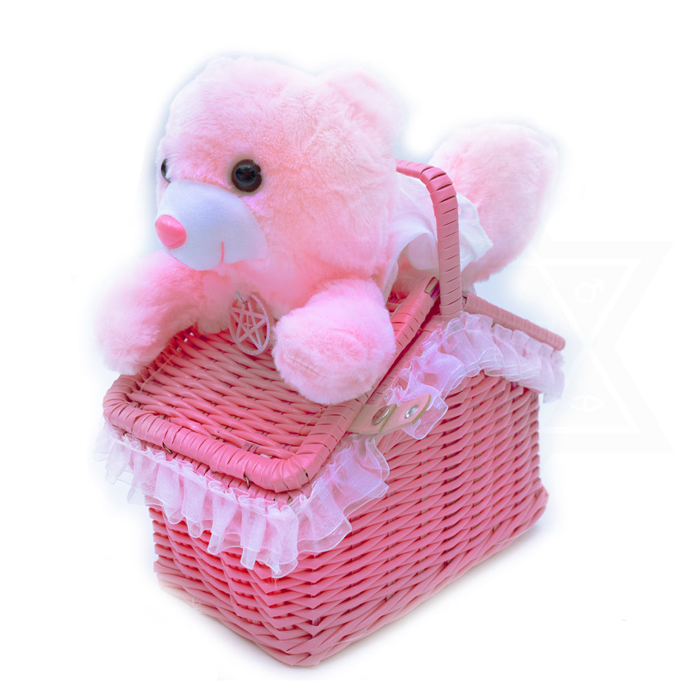 Pink little bear picnic bag