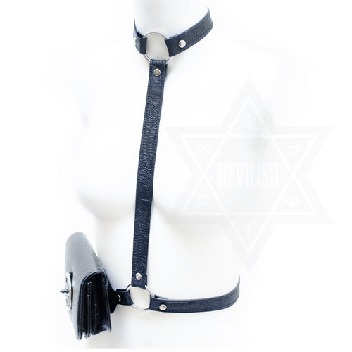 Shadow pouch harness