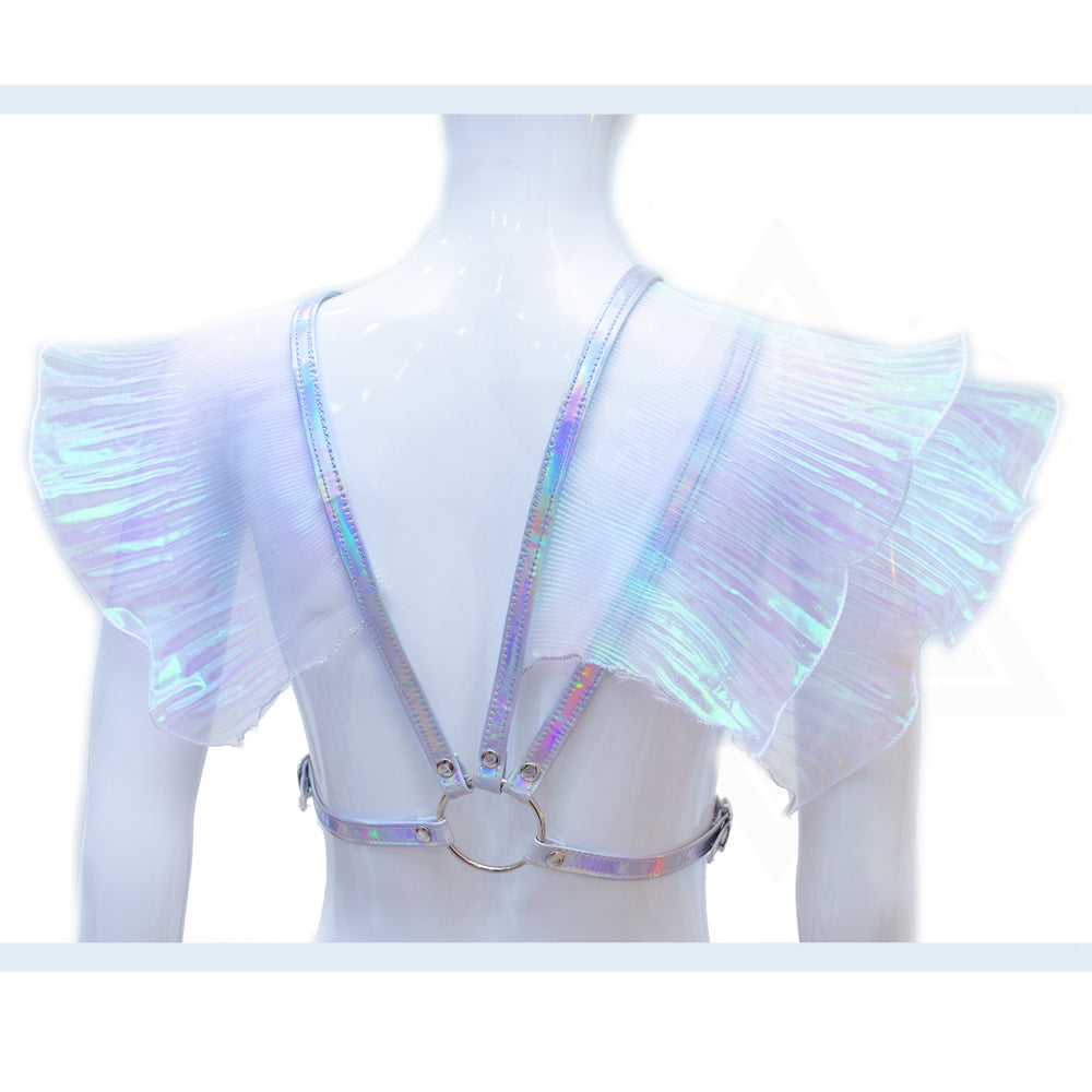 Aurora harness