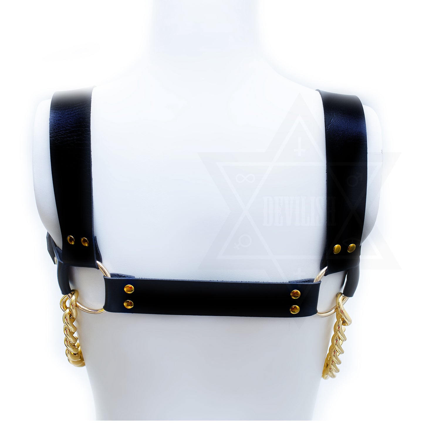 Sinner harness