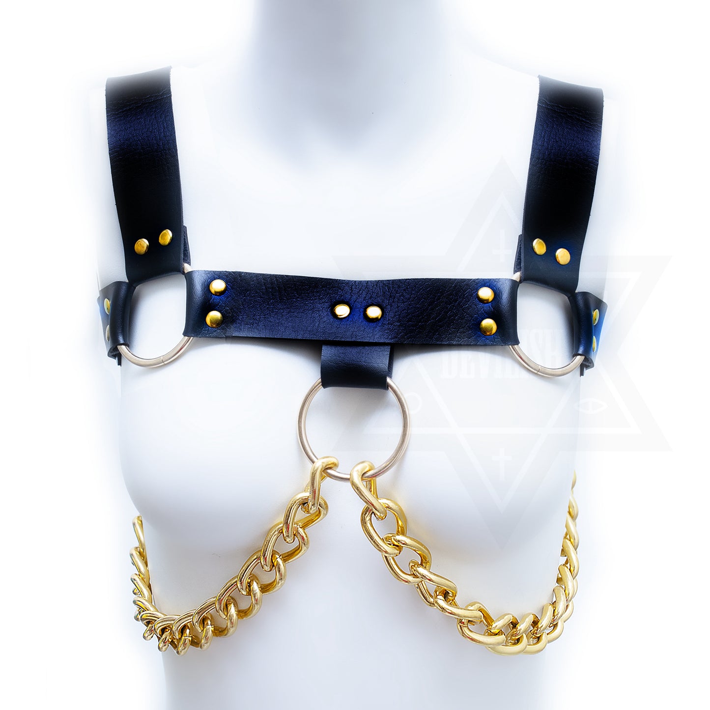 Sinner harness