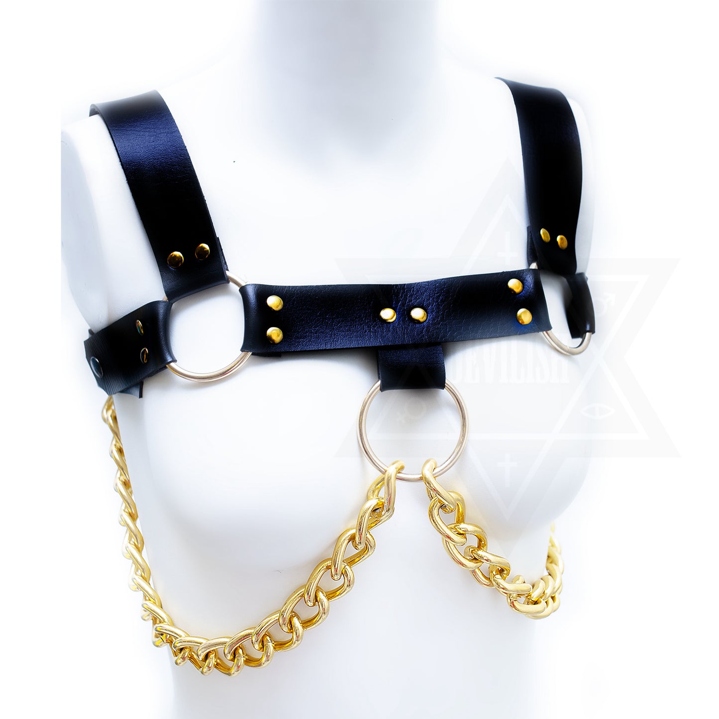 Sinner harness