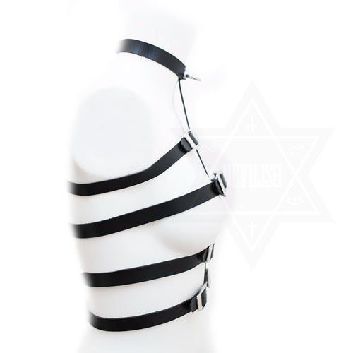 Wild life harness