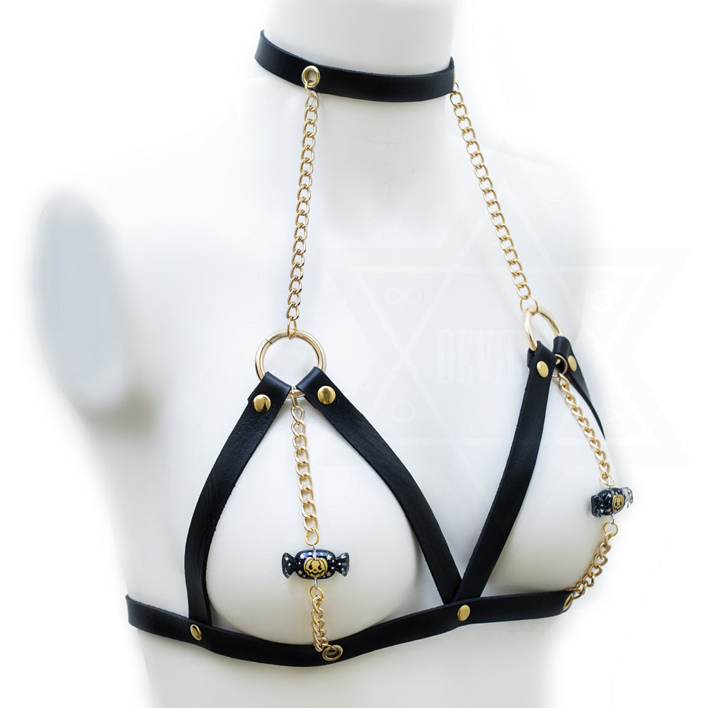 Trick or treat harness