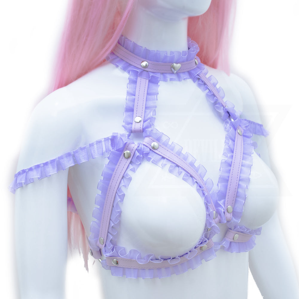 Beautiful dreamer harness