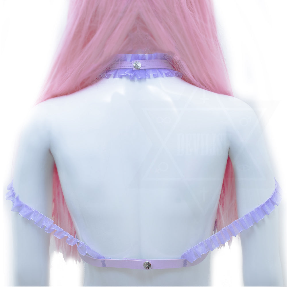 Beautiful dreamer harness