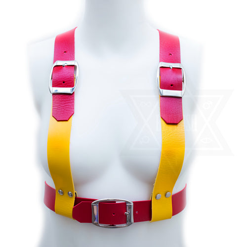 Mustard and ketchup harness