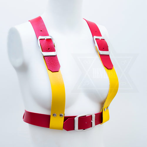 Mustard and ketchup harness