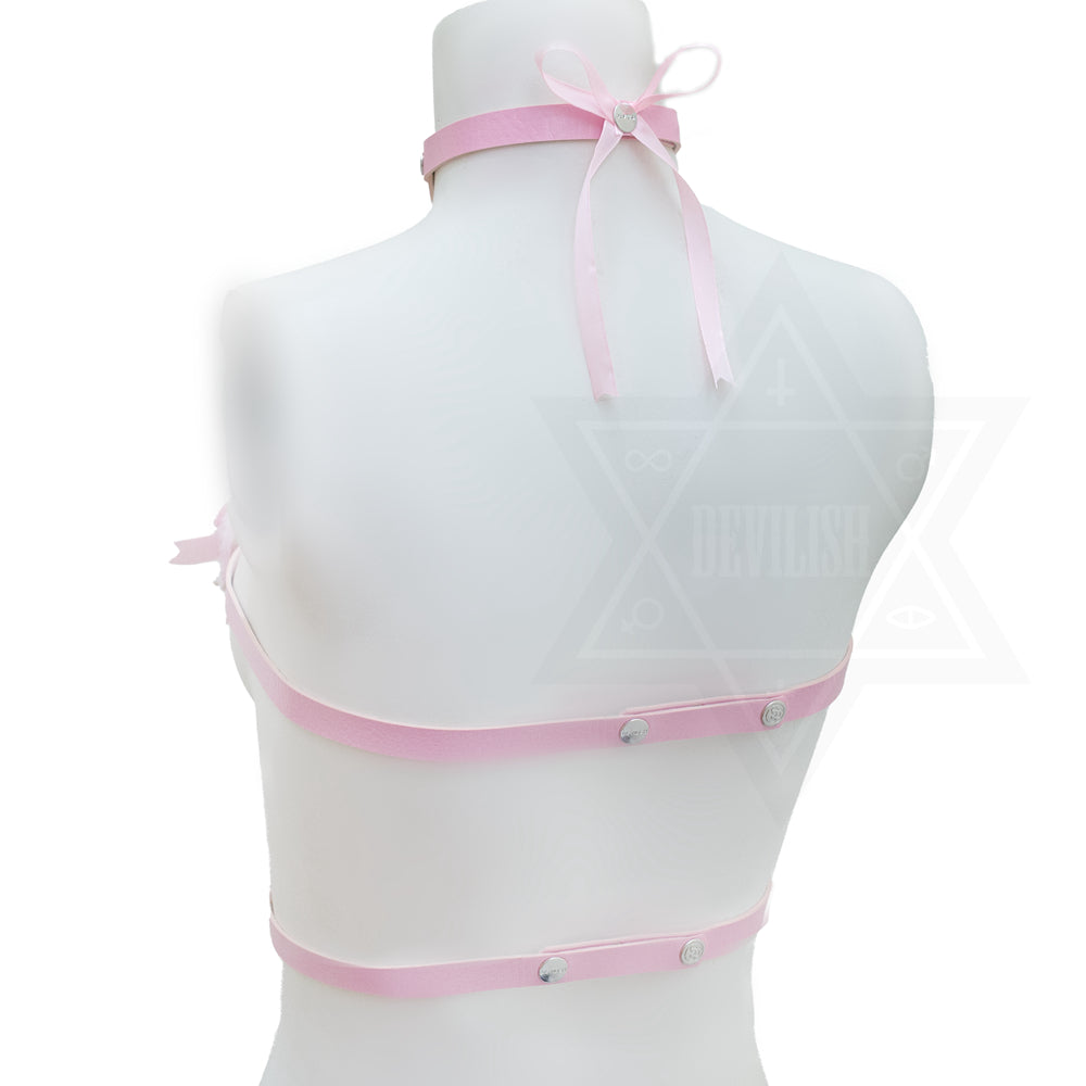 Destiny harness