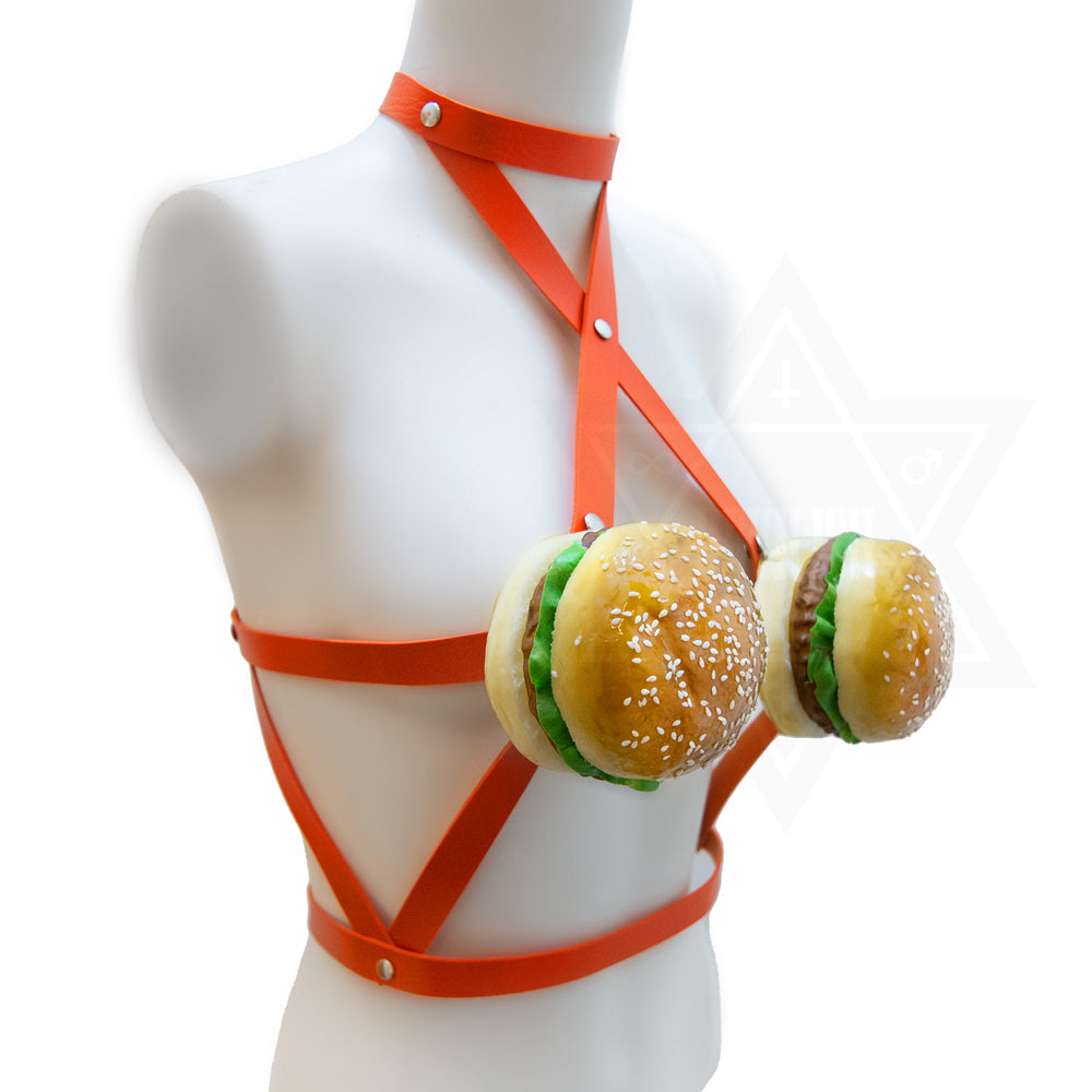 My favorite food harness(hamburger)