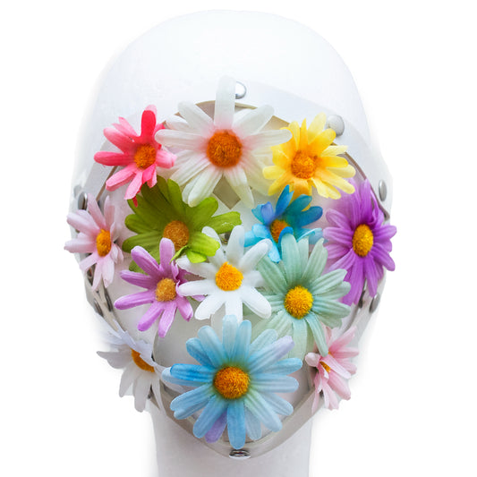 secret admirer face harness