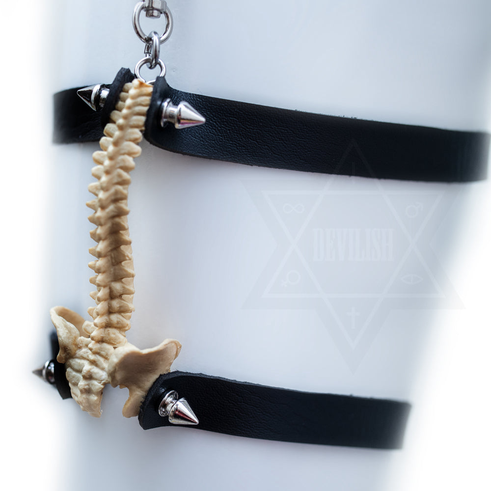 Bone collection garter belt*