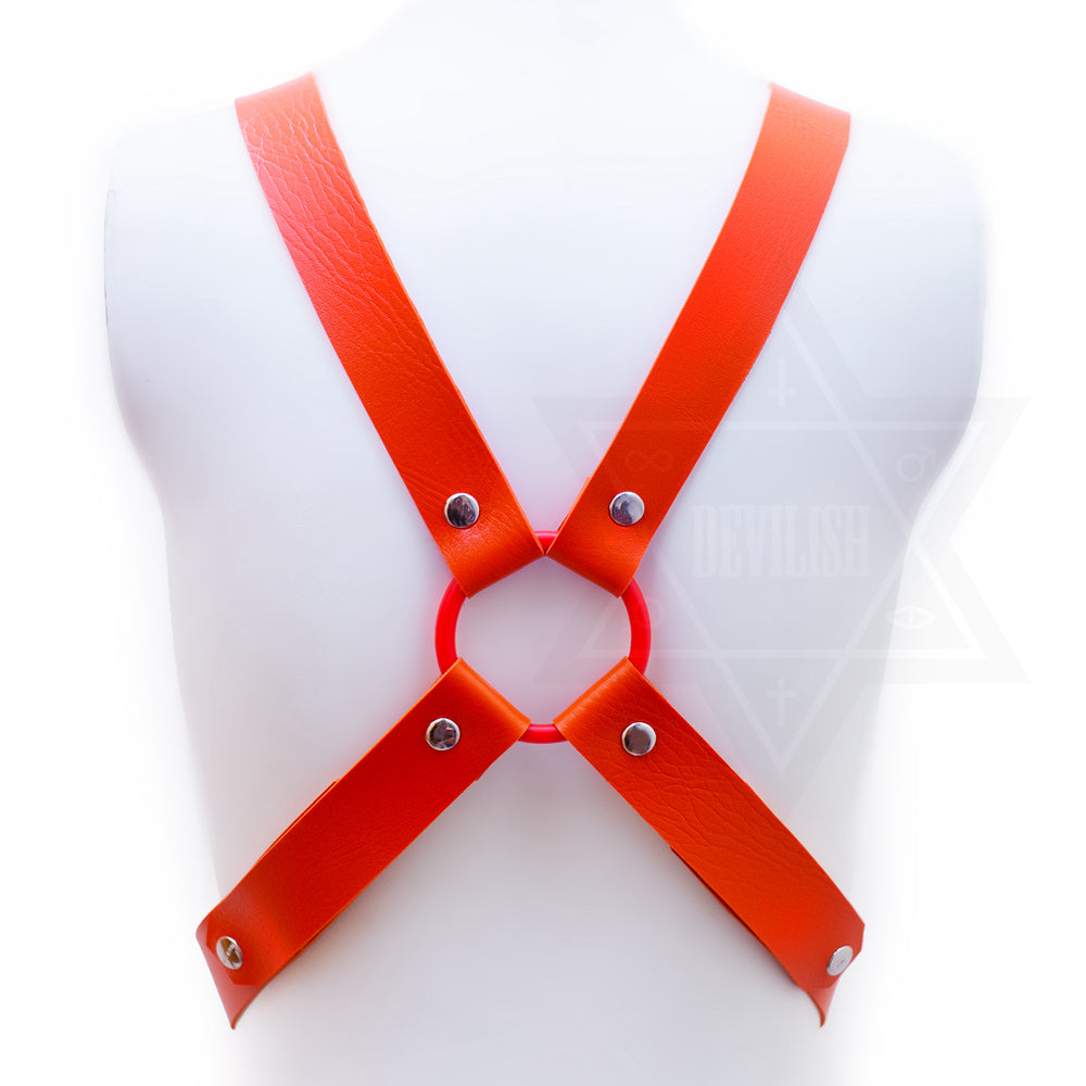HOT DOG! harness*