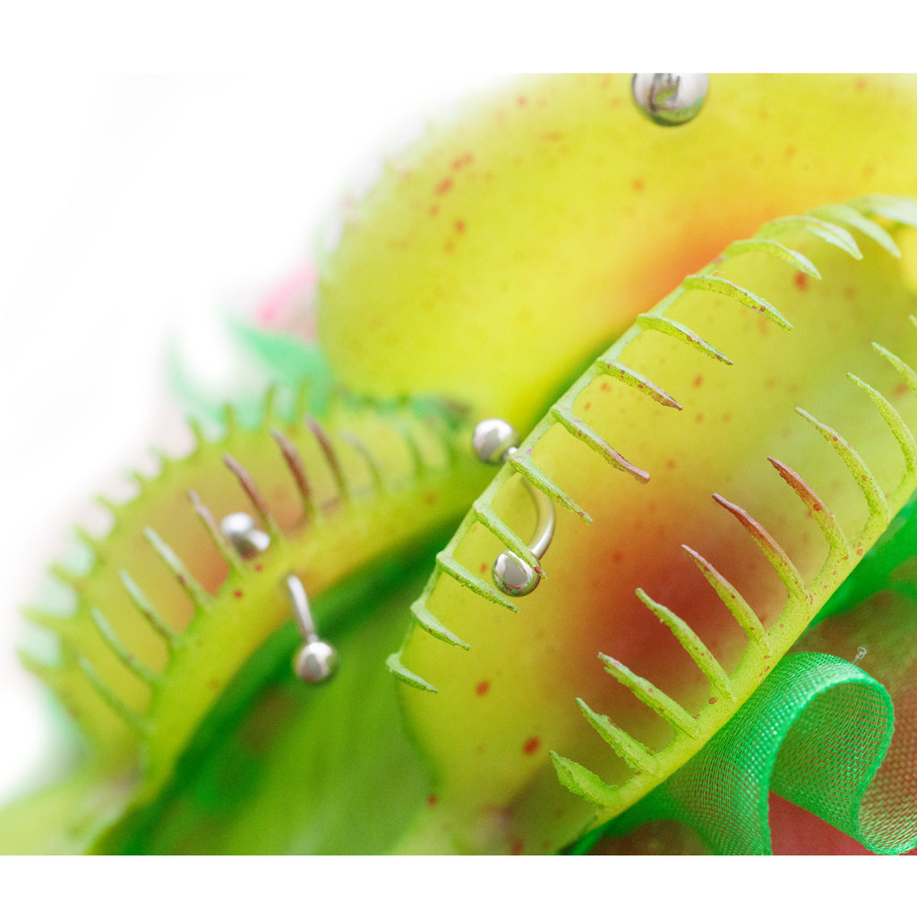 Carnivorous headband *