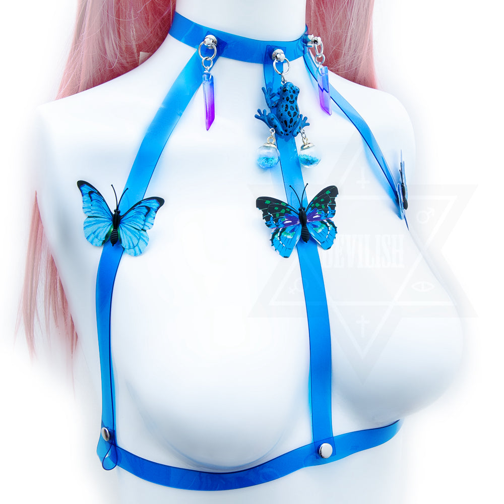 Blue witch harness