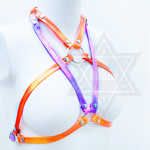 Neon beam harness