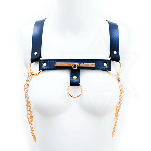 Bound in chains harness