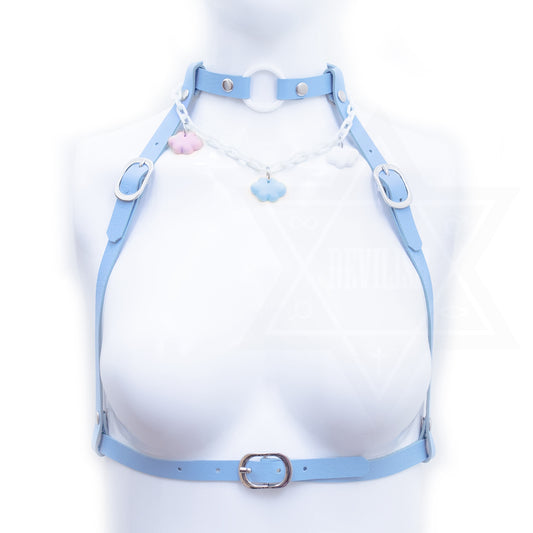 Pastel sky harness