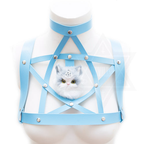 Kitten magic harness