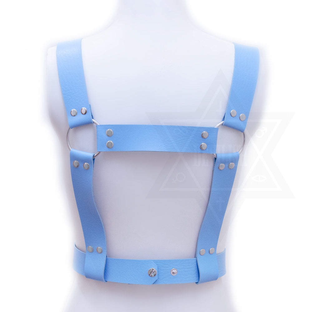 Airabuyū harness