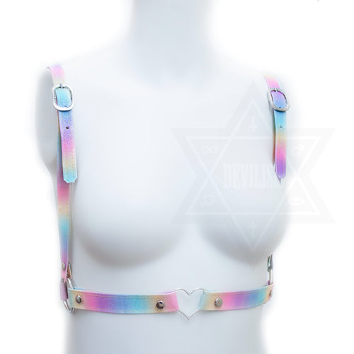 Pastel rainbow harness