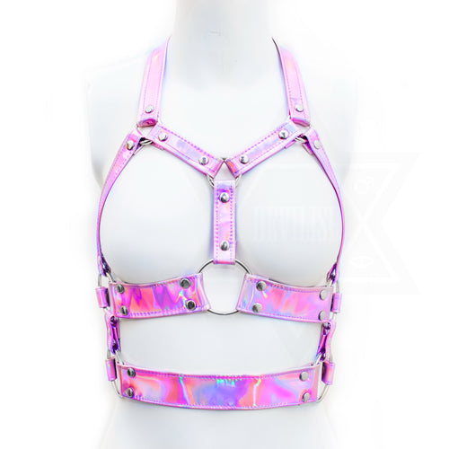 Pink in space harness