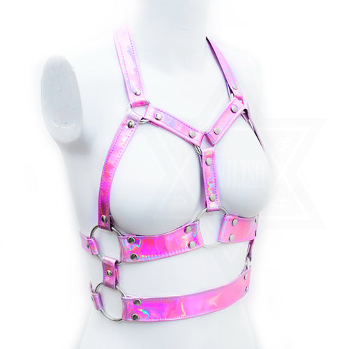 Pink in space harness
