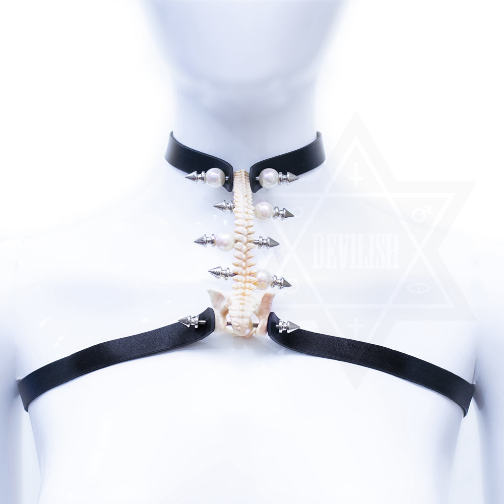 Bone collection  harness