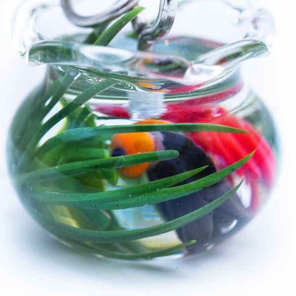 Live in bubbles bangle