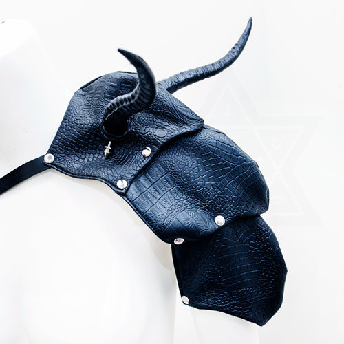 Dark side harness
