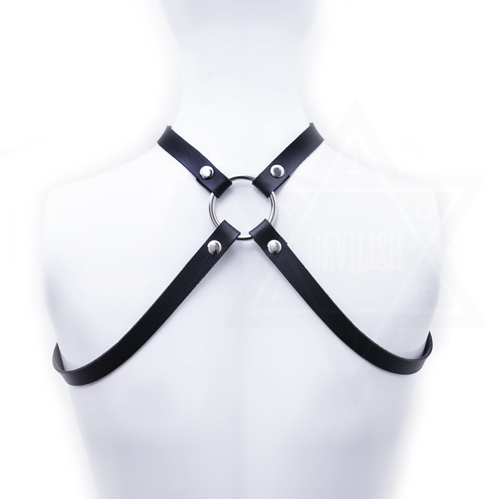In hell harness