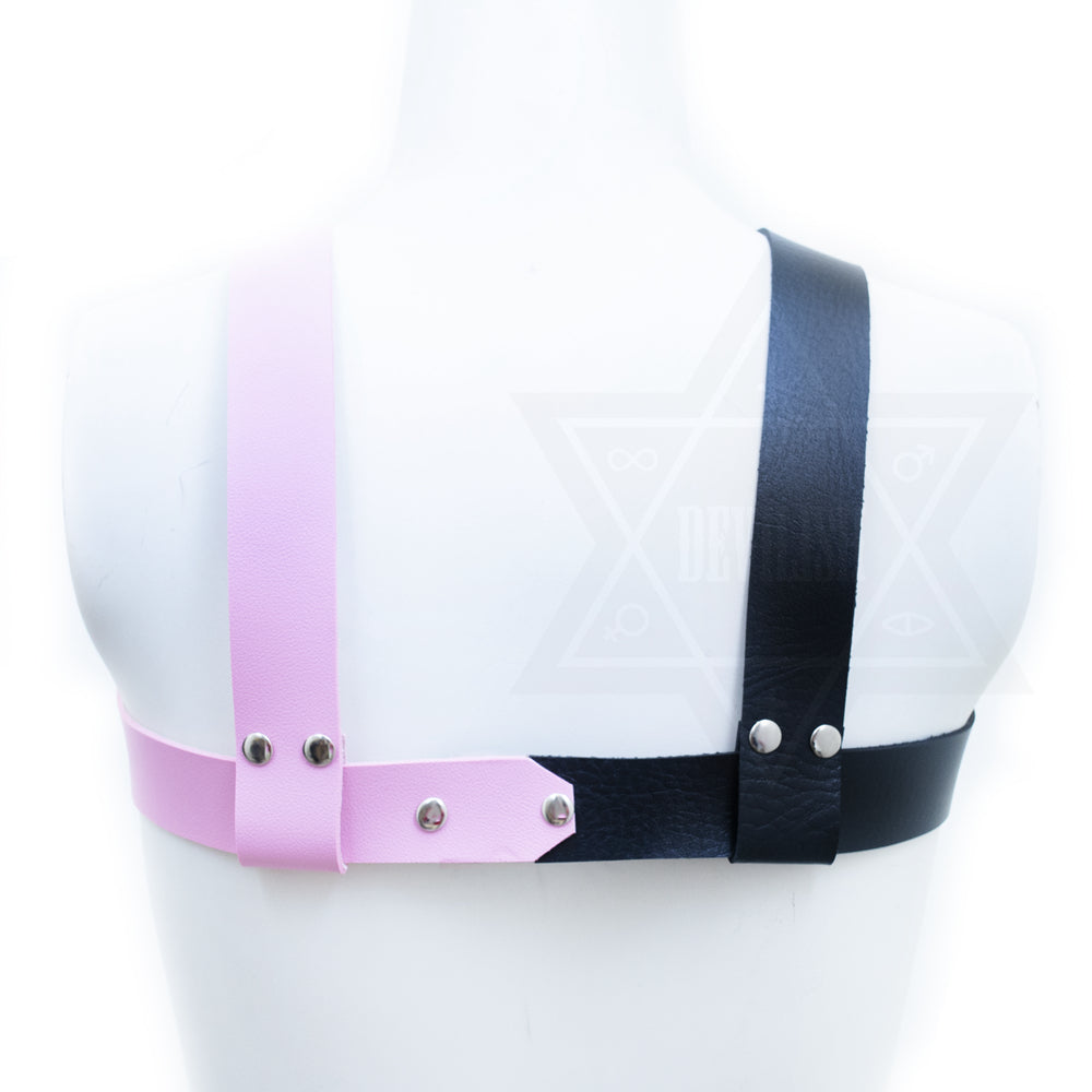 Two sided heavy leather harness