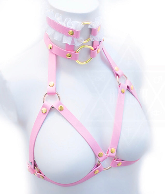 Pretty in pink harness