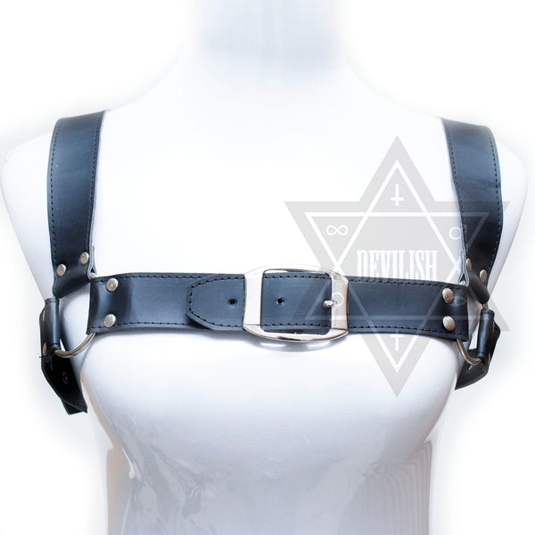 Heavy Leather harness*