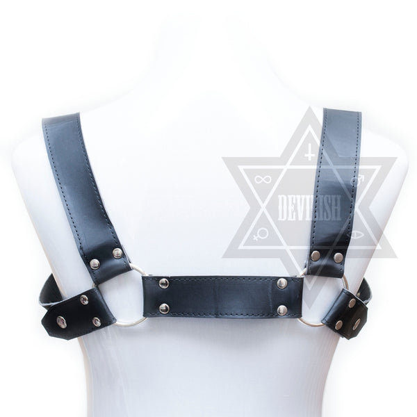 Heavy Leather harness*