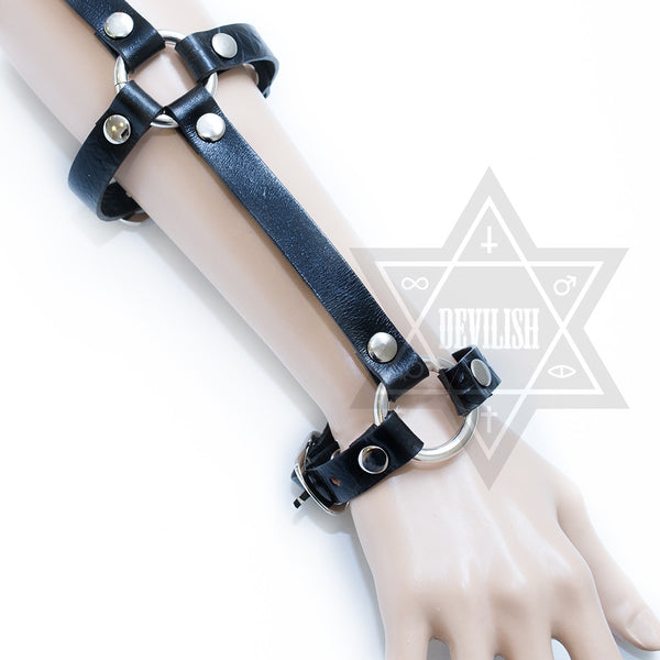 Sleeves harness